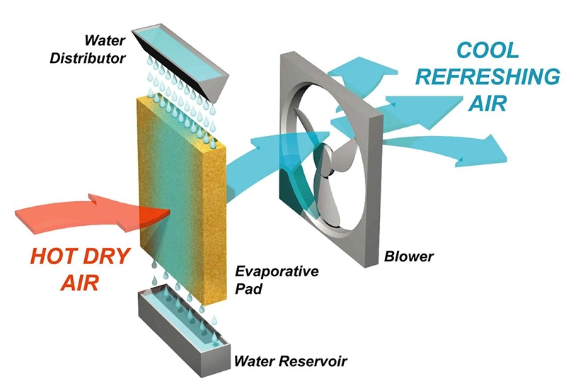 How evaporative cooling works
